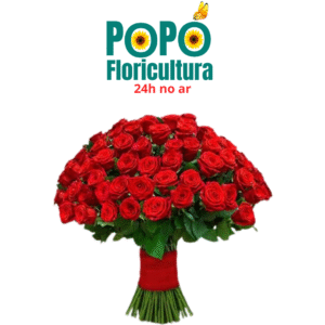 Buquê de Rosas Vermelhas